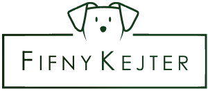 Logo Fifny Kejter