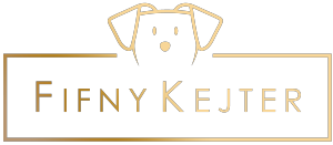 Logo Fifny Kejter